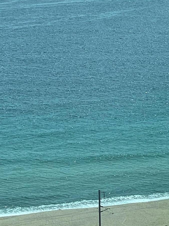 Donghae Oceancity Residence Hotel المظهر الخارجي الصورة